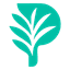 PalmVue